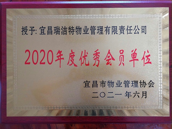 调整大小 2020年优秀会员单位